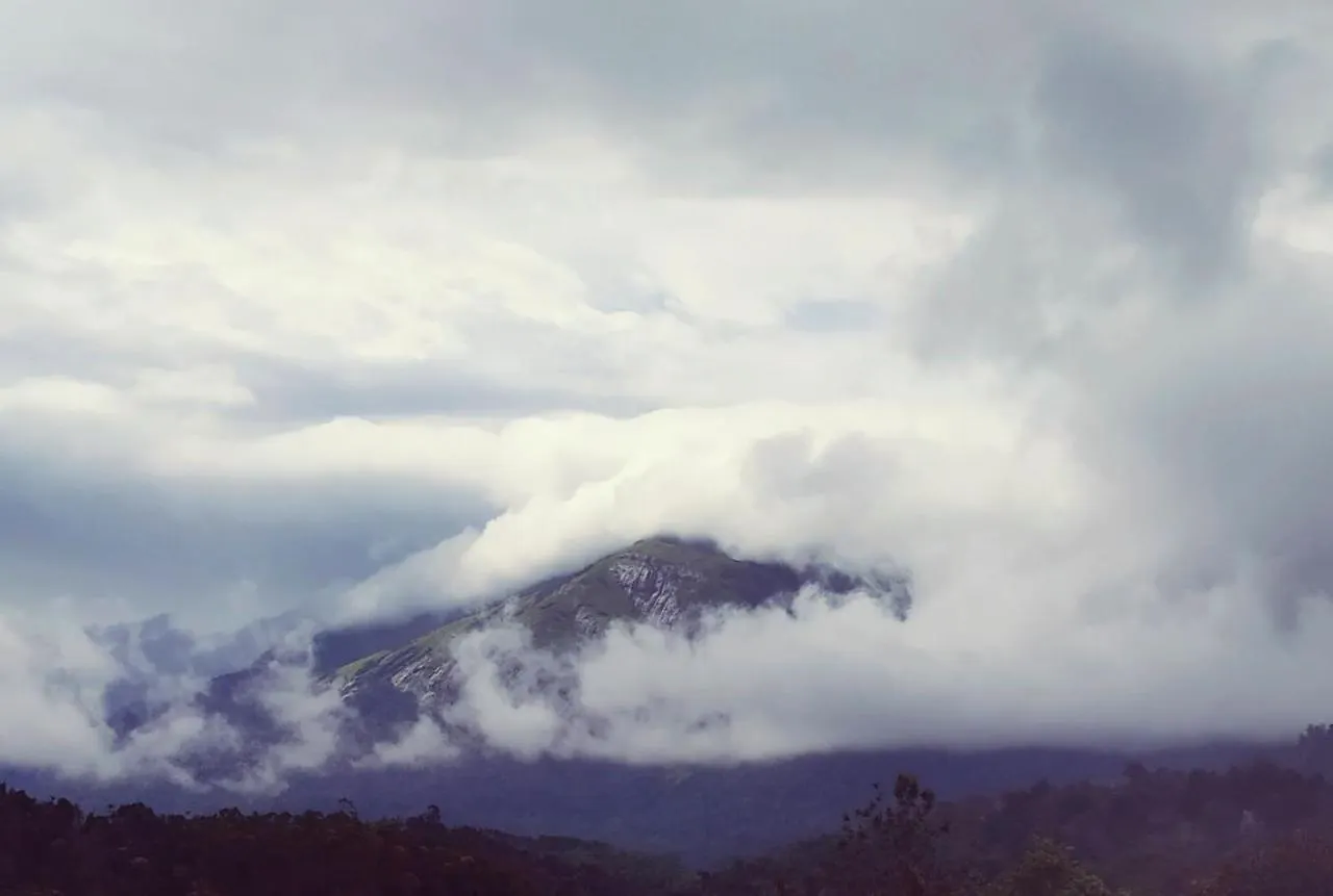 Mistica Munnar Apartment Anachal