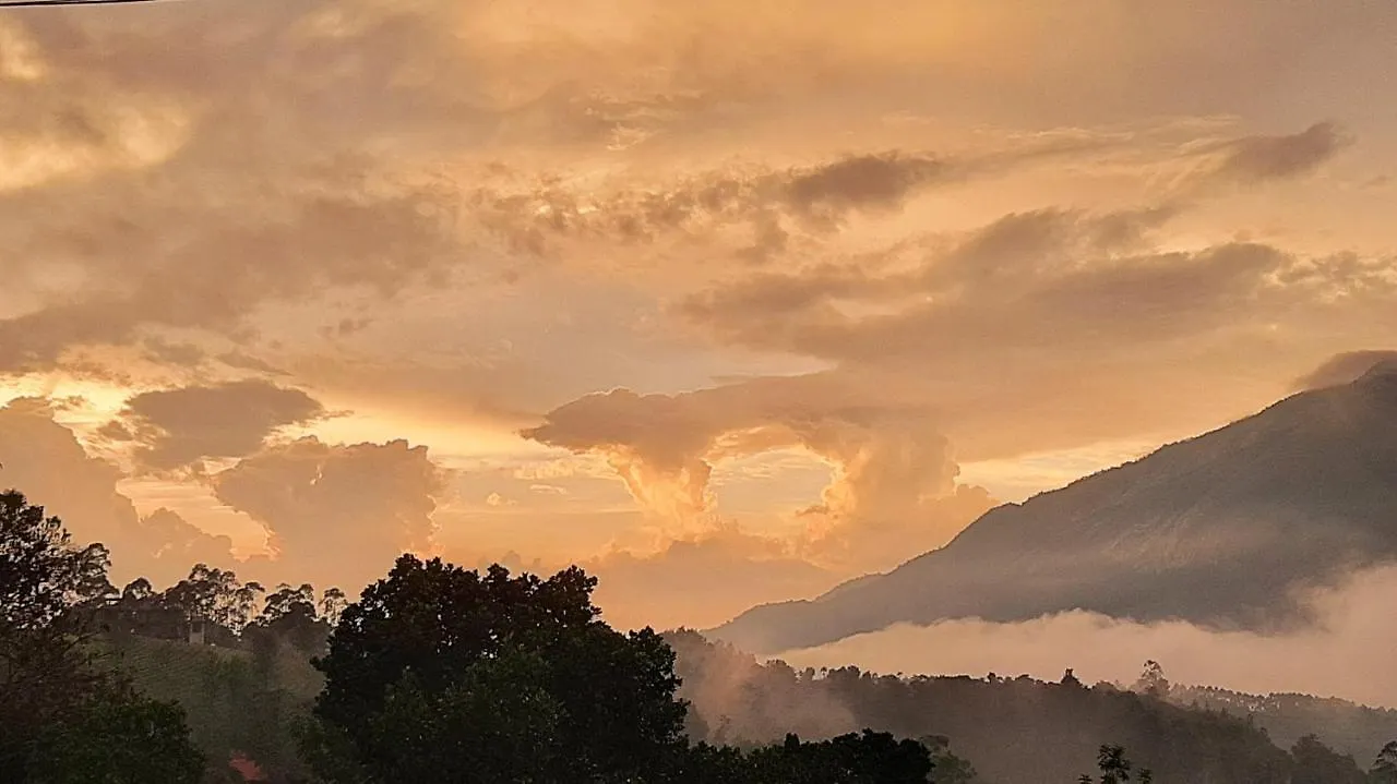 Mistica Munnar Apartment Anachal 0*,
