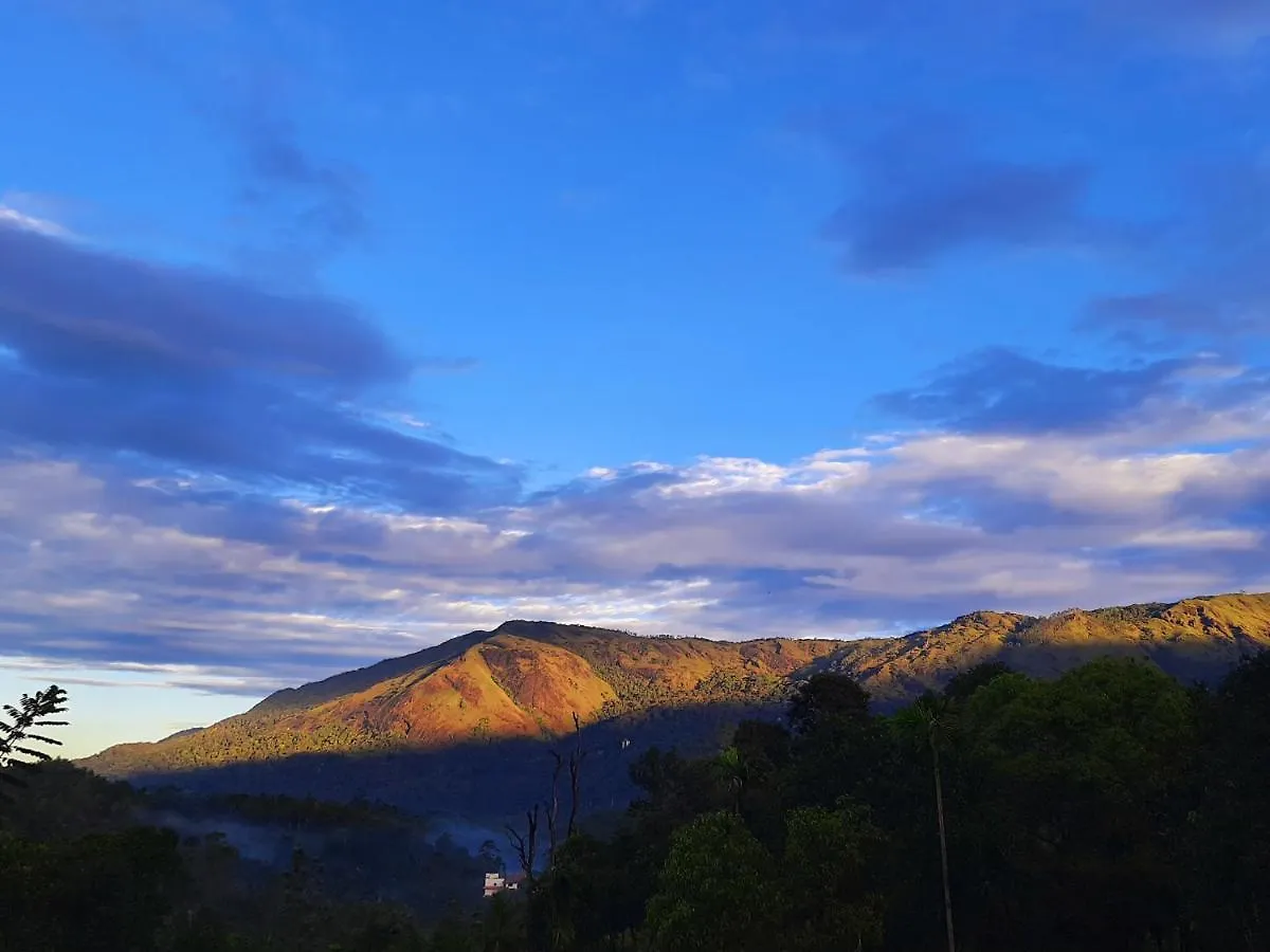 Mistica Munnar Apartment Anachal Homestay