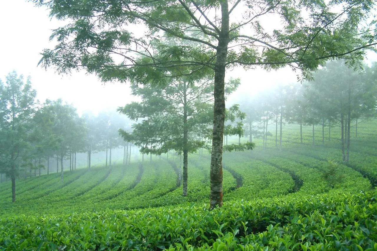 Homestay Mistica Munnar Apartment Anachal