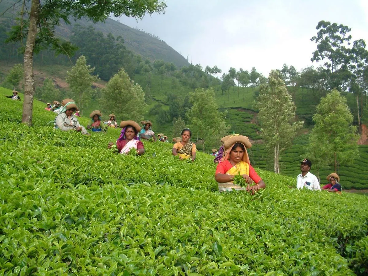 Homestay Mistica Munnar Apartment Anachal