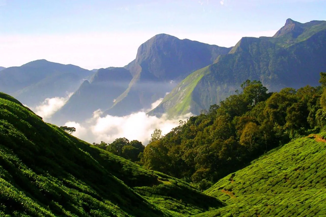 Mistica Munnar Apartment Anachal India