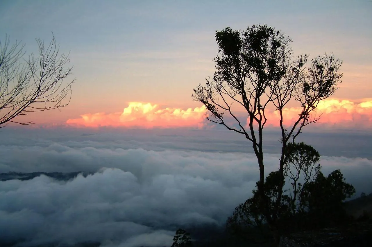 Mistica Munnar Apartment Anachal Homestay