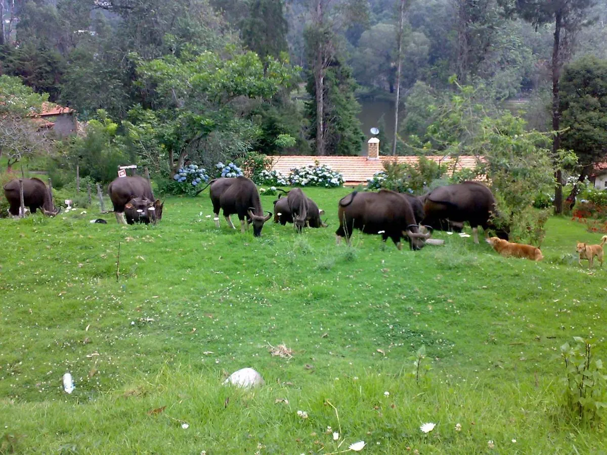 Mistica Munnar Apartment Anachal Homestay