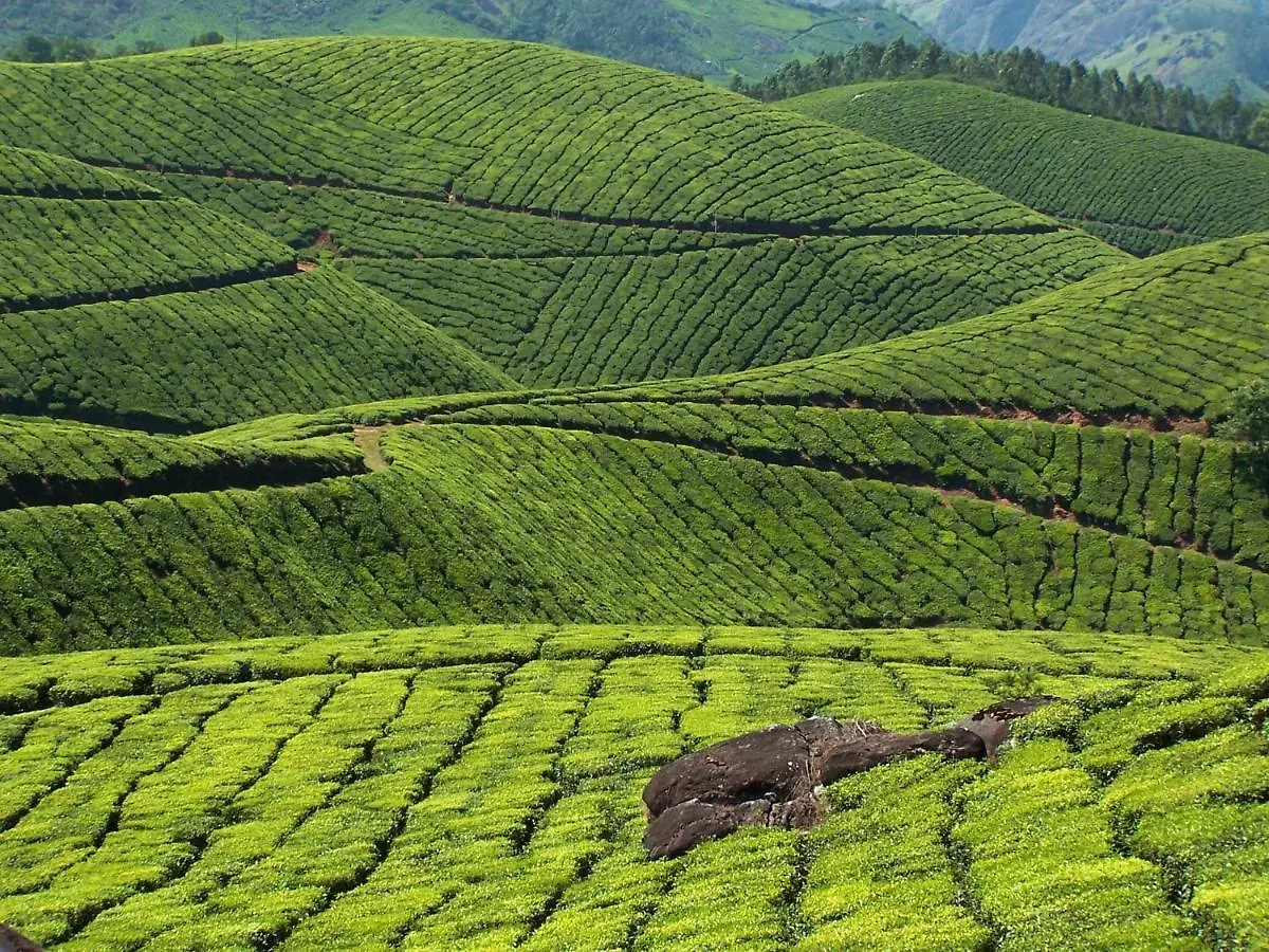 Mistica Munnar Apartment Anachal