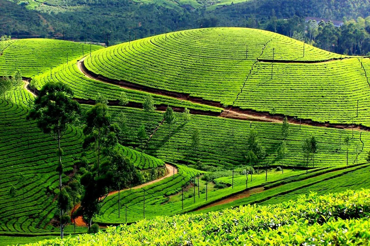 Apartmán Mistica Munnar Anachal 0*,  Indie